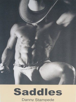 cover image of "Saddles"